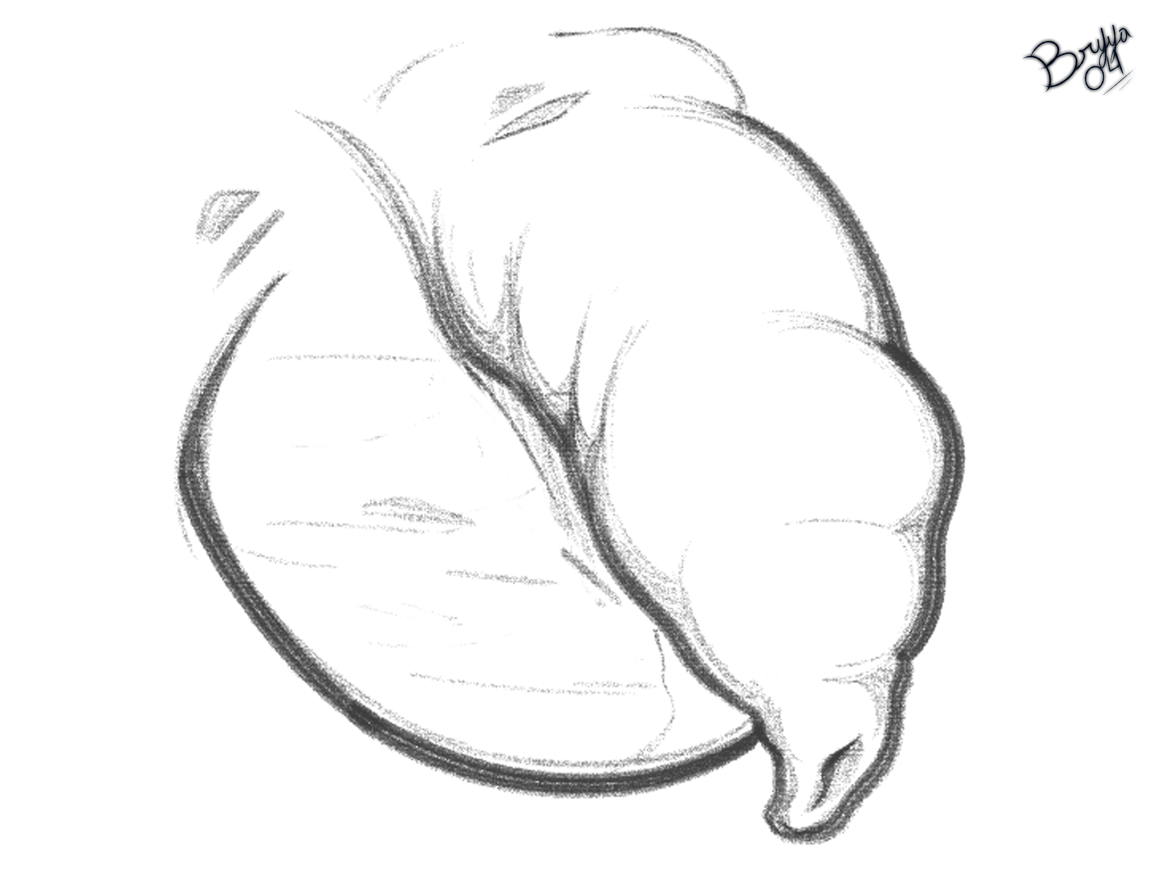 5939142_Bryya04_cat_foreskin_l.png
