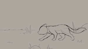 Warrior Cats animation study