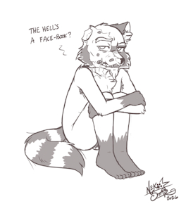 5948015_NekoStar_oldraccoon-2.png