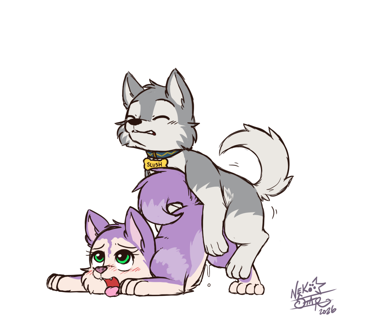 5949204_NekoStar_huskies-5.png