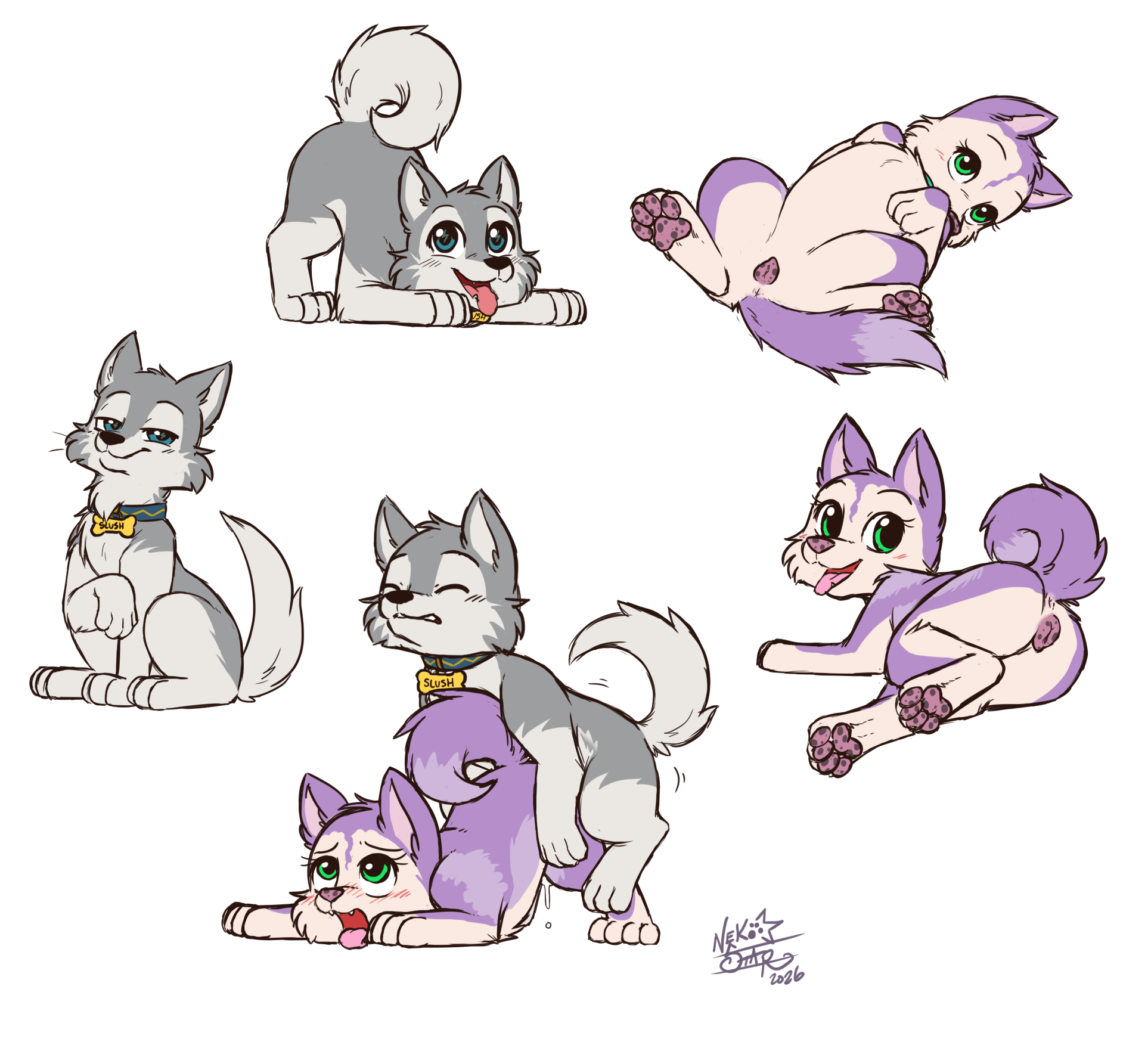 5949205_NekoStar_huskies.png