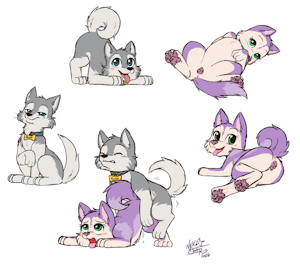 5949205_NekoStar_huskies.png