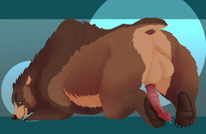 Bear Booty