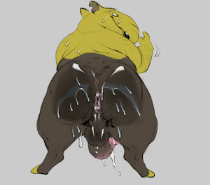 Old Drowzee Used Attract Color