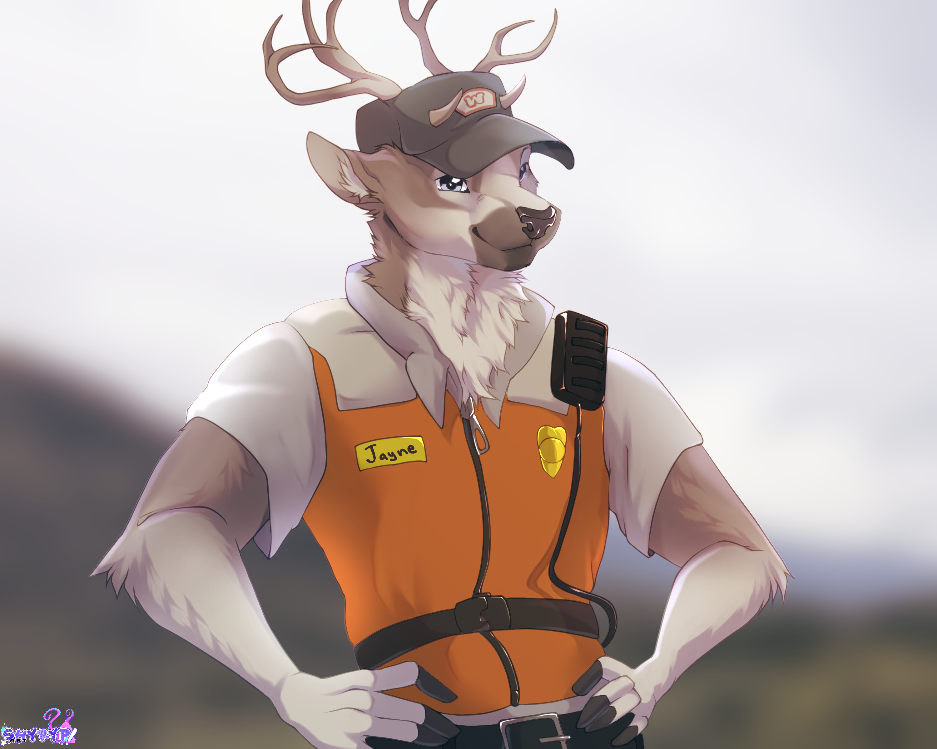 5950854_Shyryp__.png