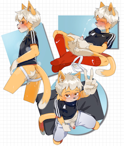 Sporty x3
