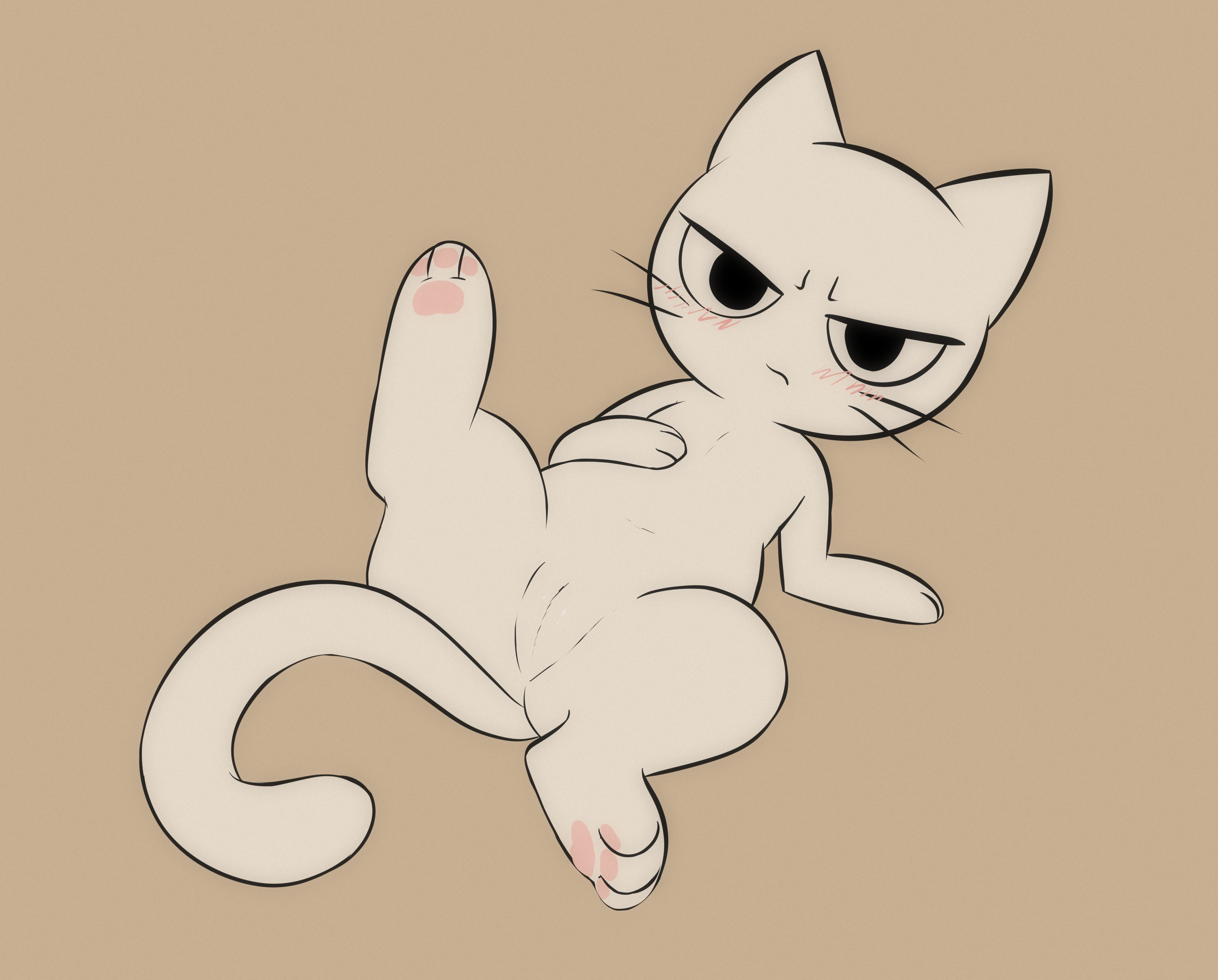 5953061_e254e_shikaruneko_1_color.png