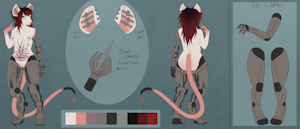 Nyx the Lab Mouse