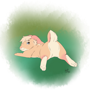 Bunny Butt! [C]