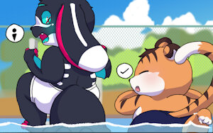 Swimming pool