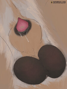 Sheath and balls of a Kangal ~