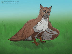 Introducing another new female character, Chip! She is a feline x avian mix. She hangs around the Wi