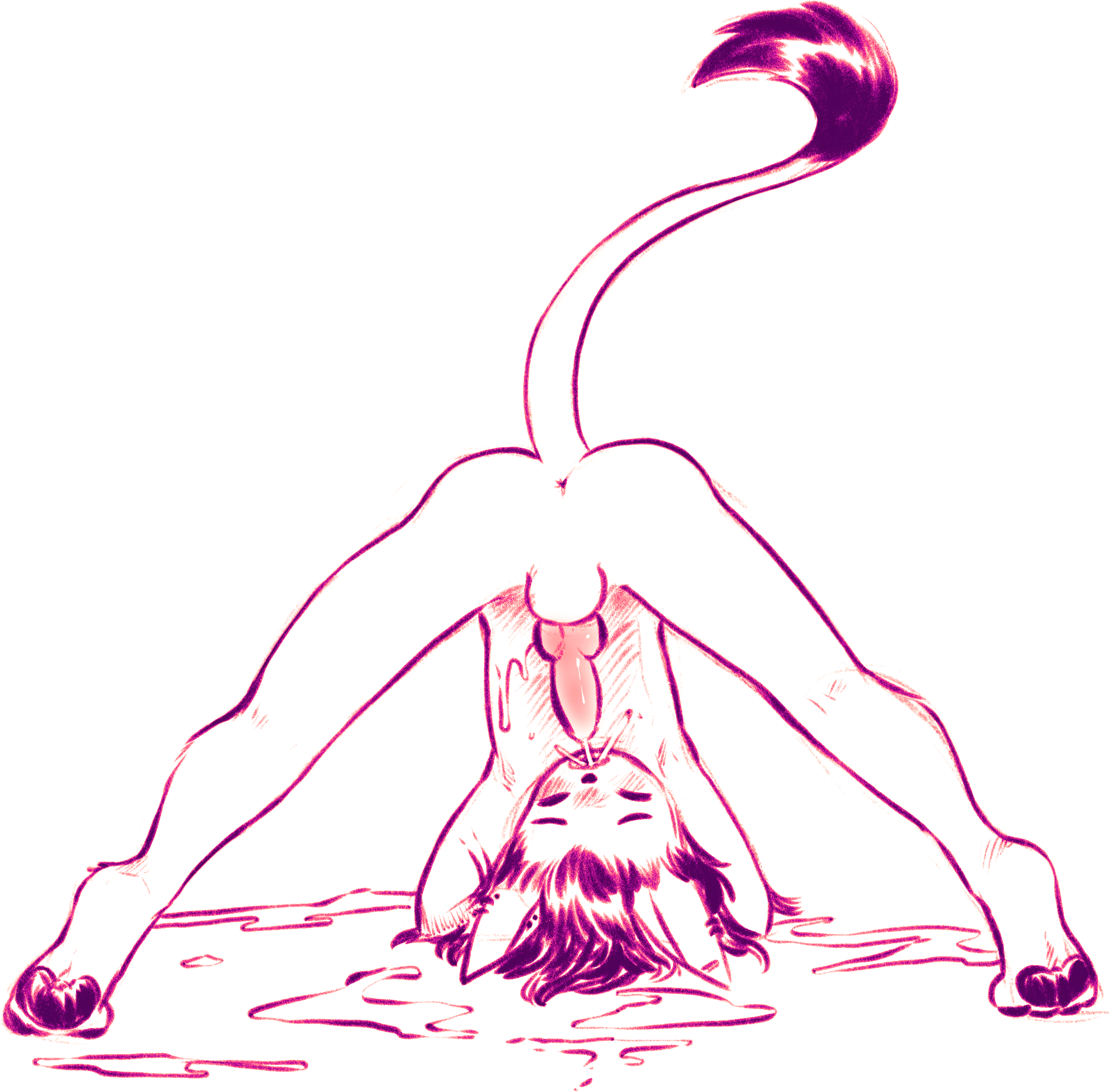 5978923_Aogami_12a.jpg