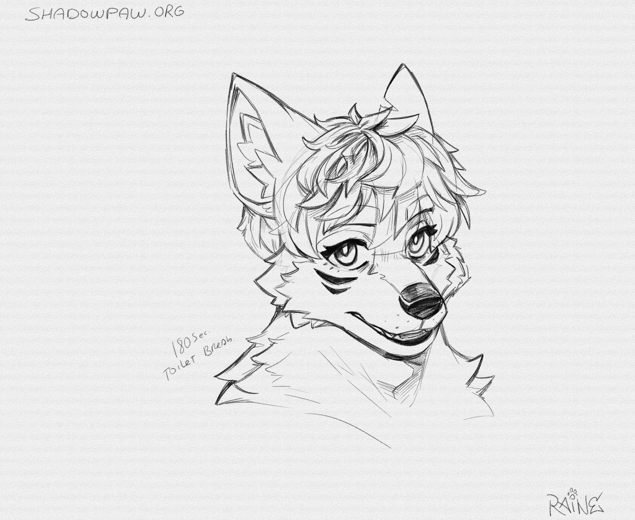 5979552_RaineShadowpaw_project_20260415072012_.png