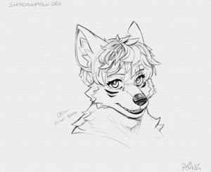 5979552_RaineShadowpaw_project_20260415072012_.png