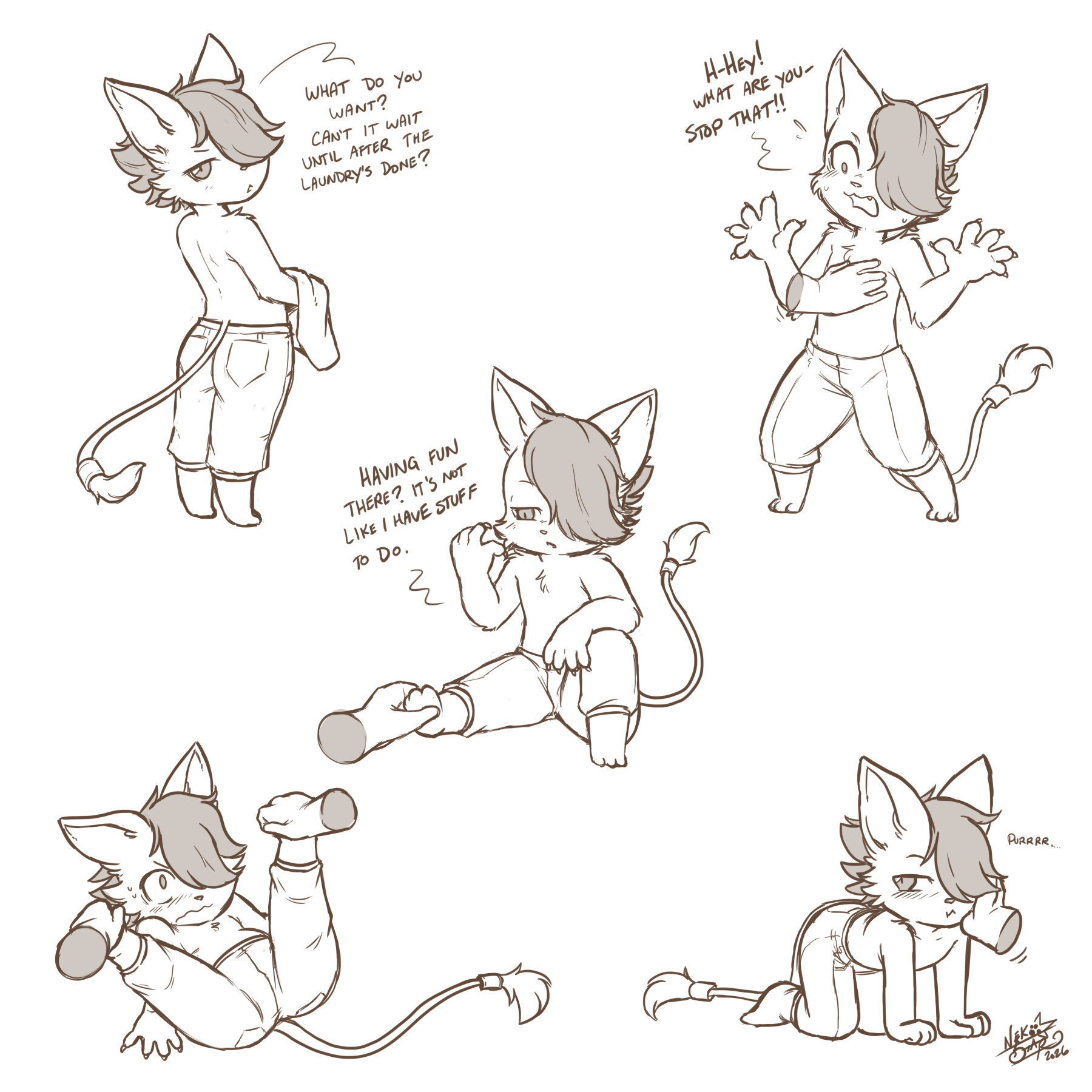 5980643_NekoStar_fugaboy.png