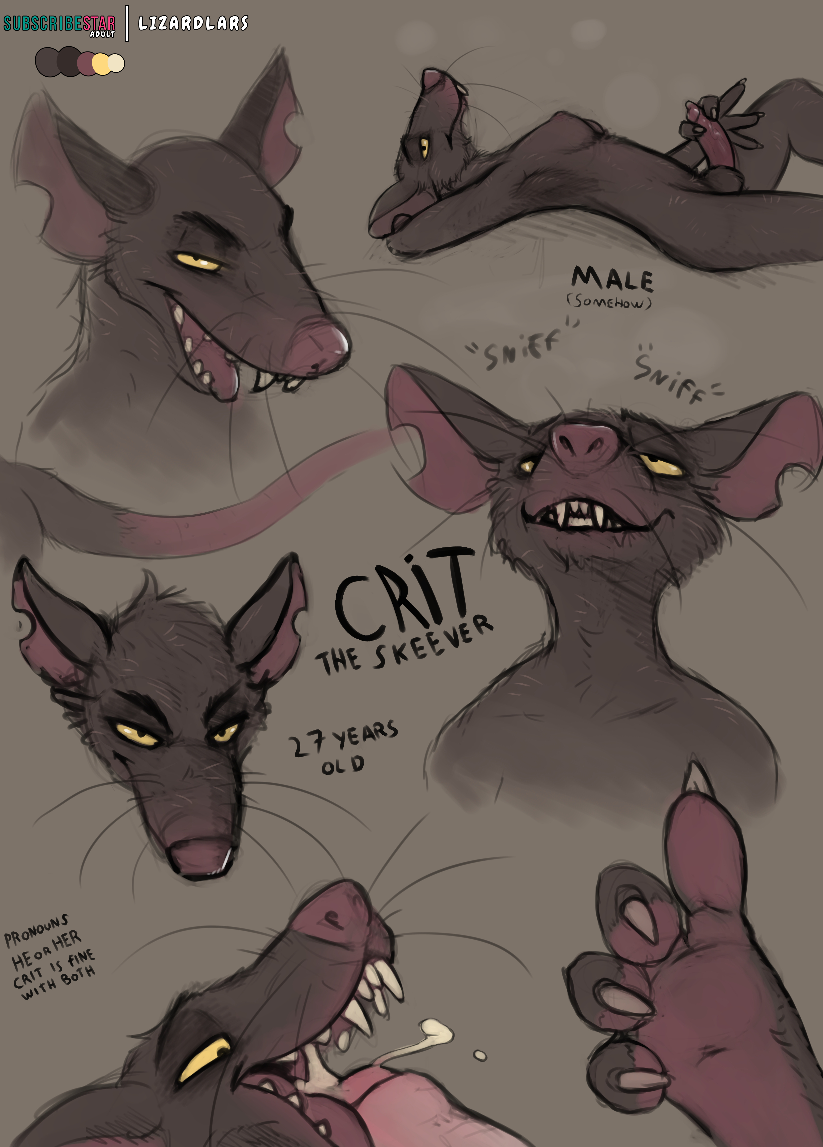 5981529_lizardlars_skeeversketchdetails.jpg