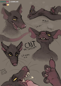 Crit The Skeever