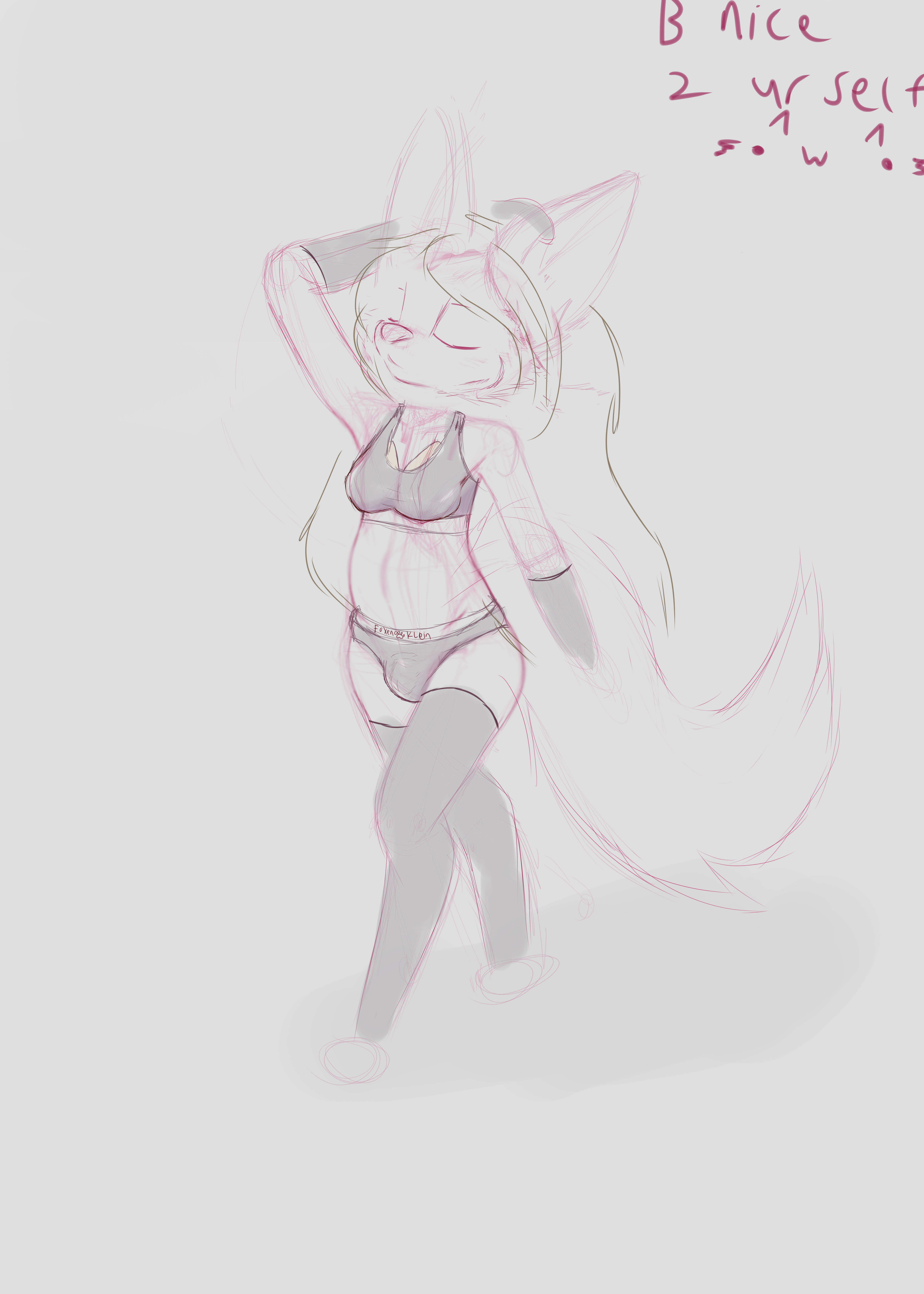 5983806_Smolfoks_blunderwear3.png