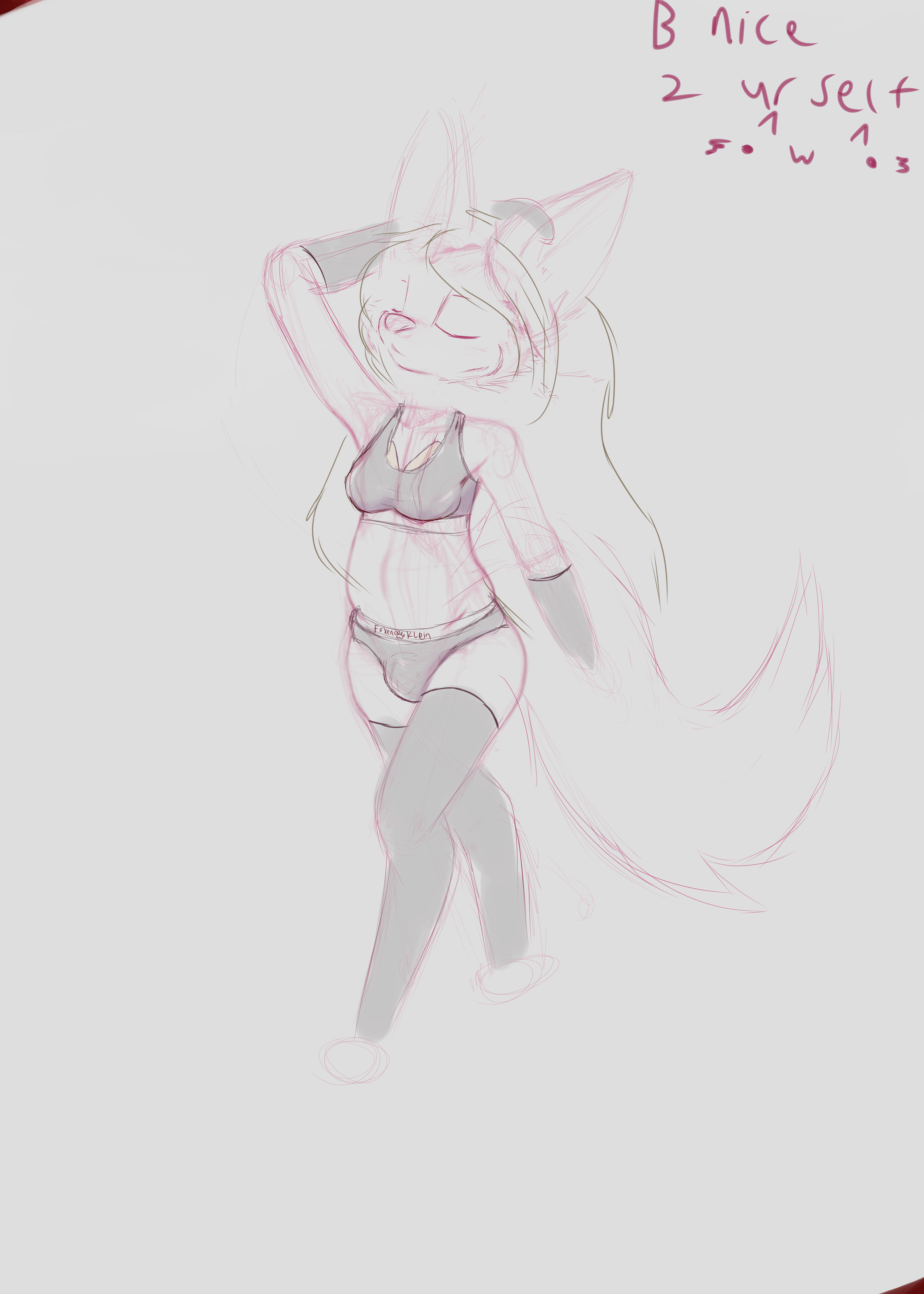 5983807_Smolfoks_blunderwear4.png