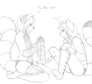 Pandas Like Socks