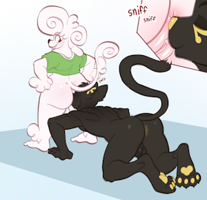 Colors Comm 29.3.26