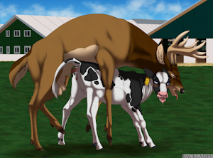 Moooved By a Buck