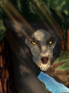 Shima the SKullwolf