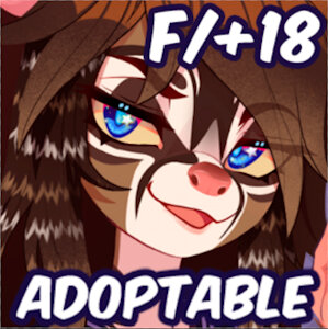 Adoptable: Cacomixtle cheerleader