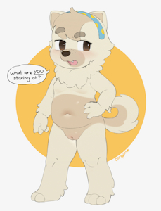 chubby chow