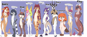 *ADOPTABLES*_Uncommon species