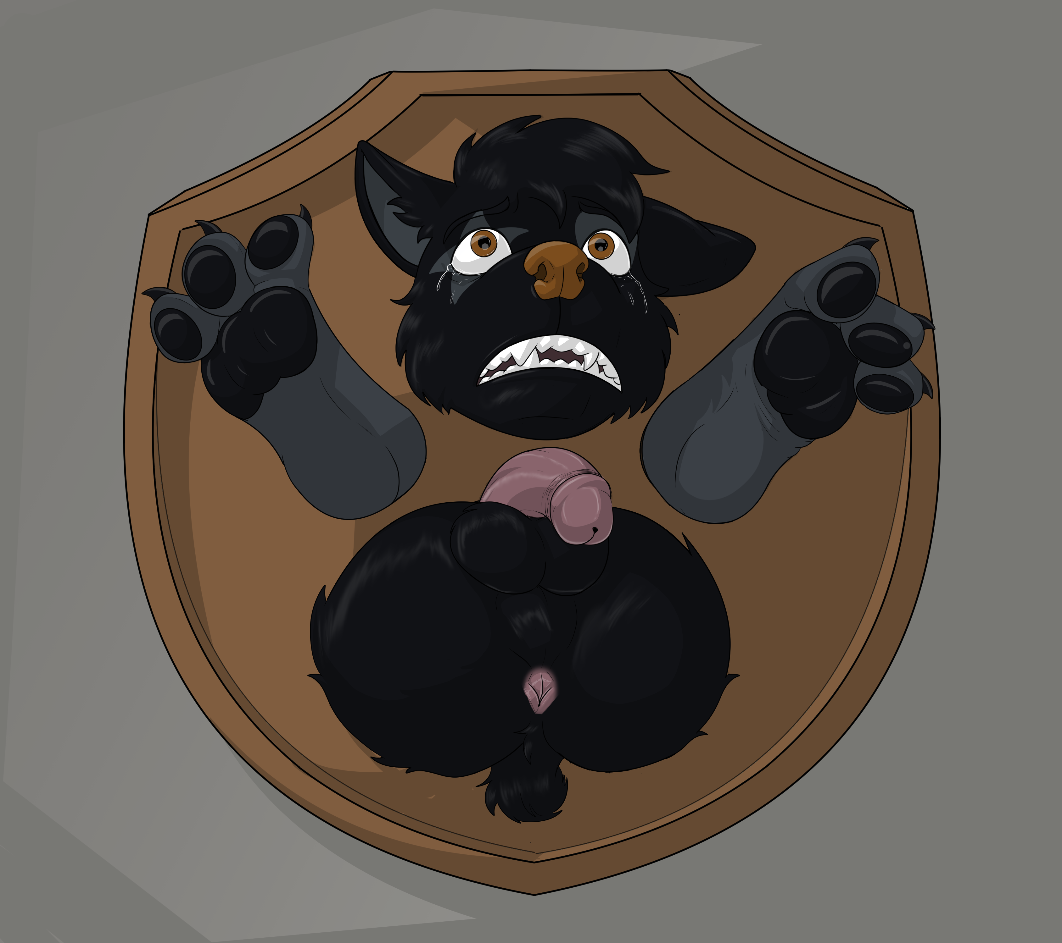 5999399_BSW100_me_mounted2.png