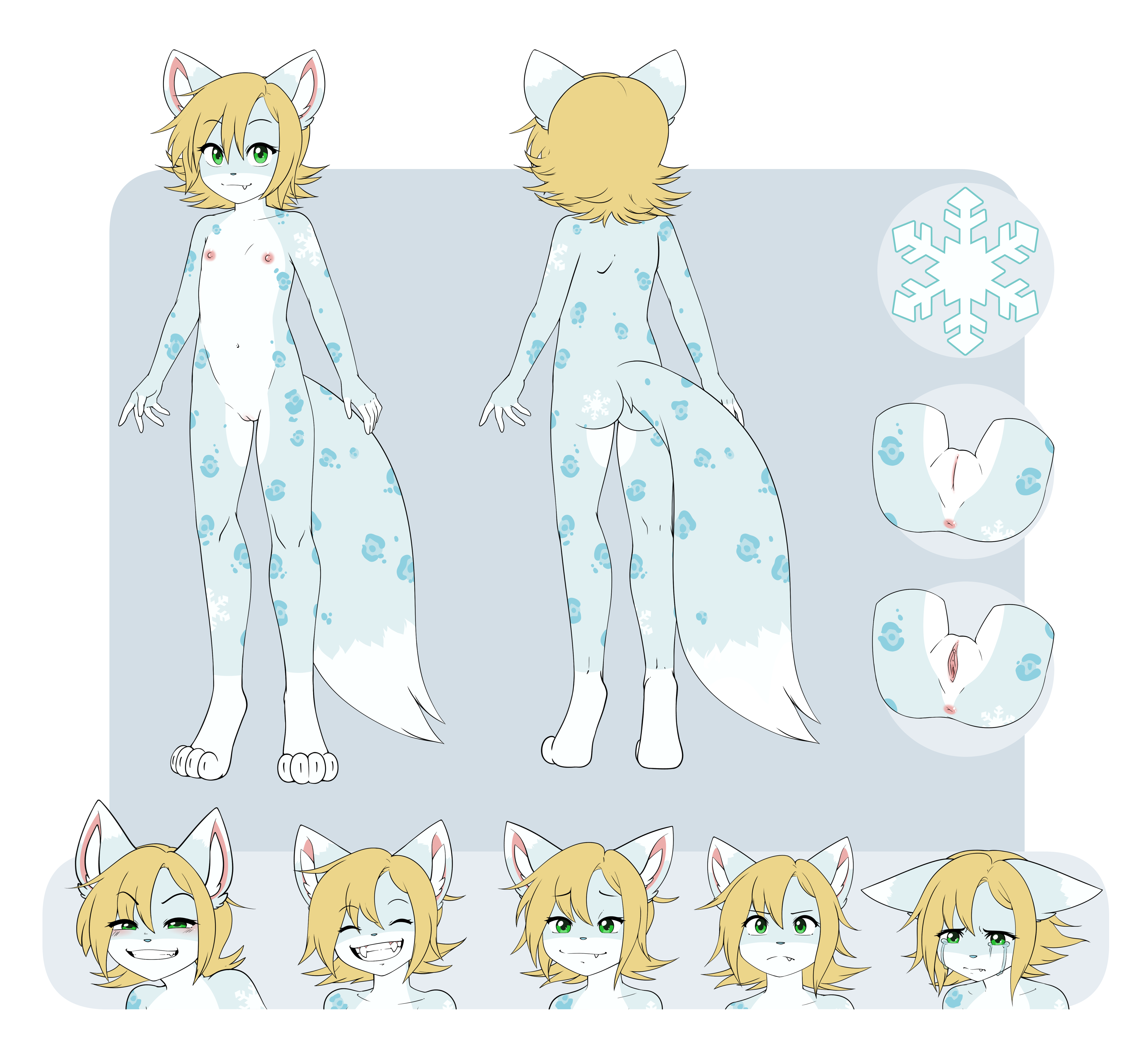 5999502_pucco_1.png