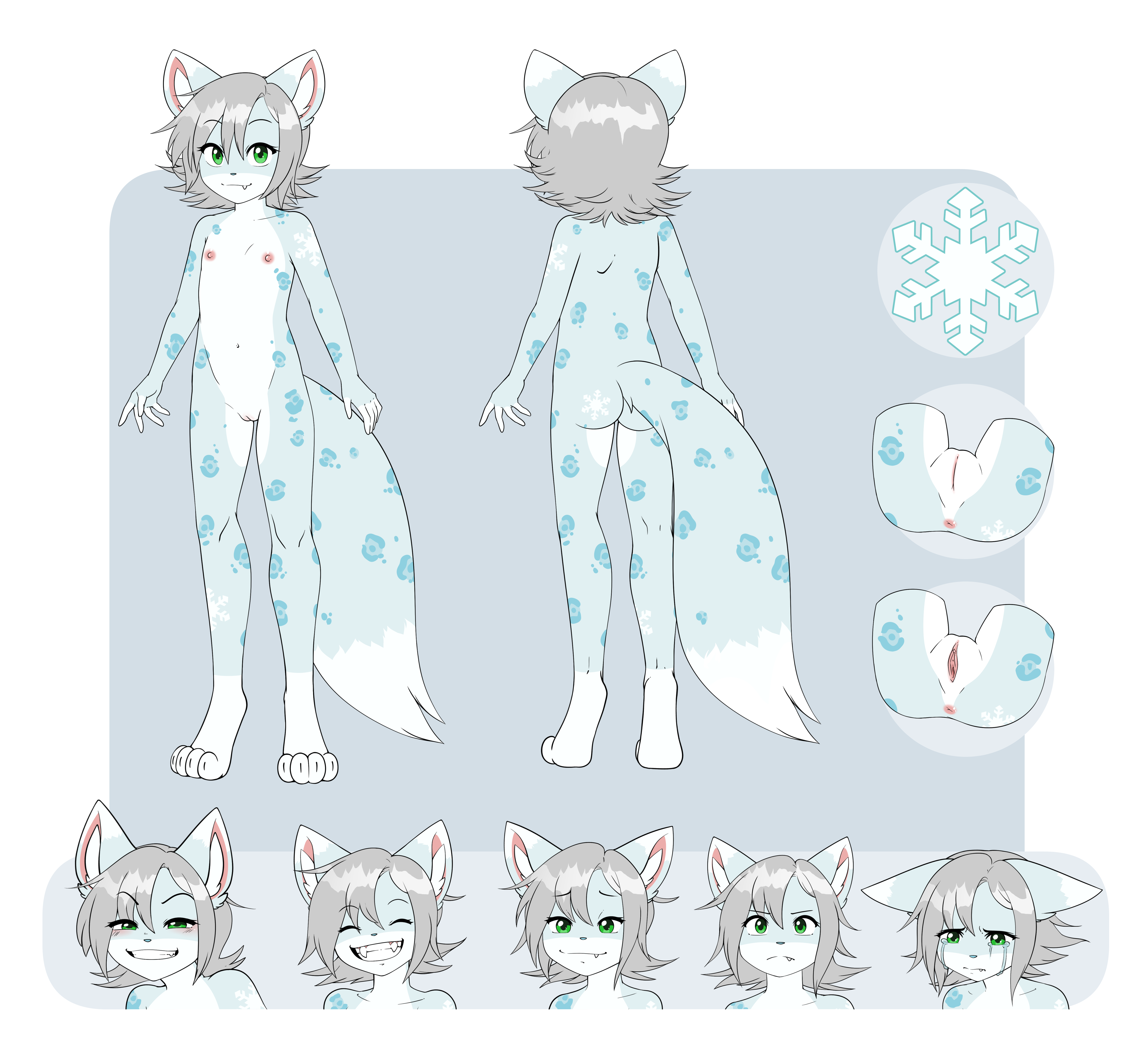 5999511_pucco_2.png