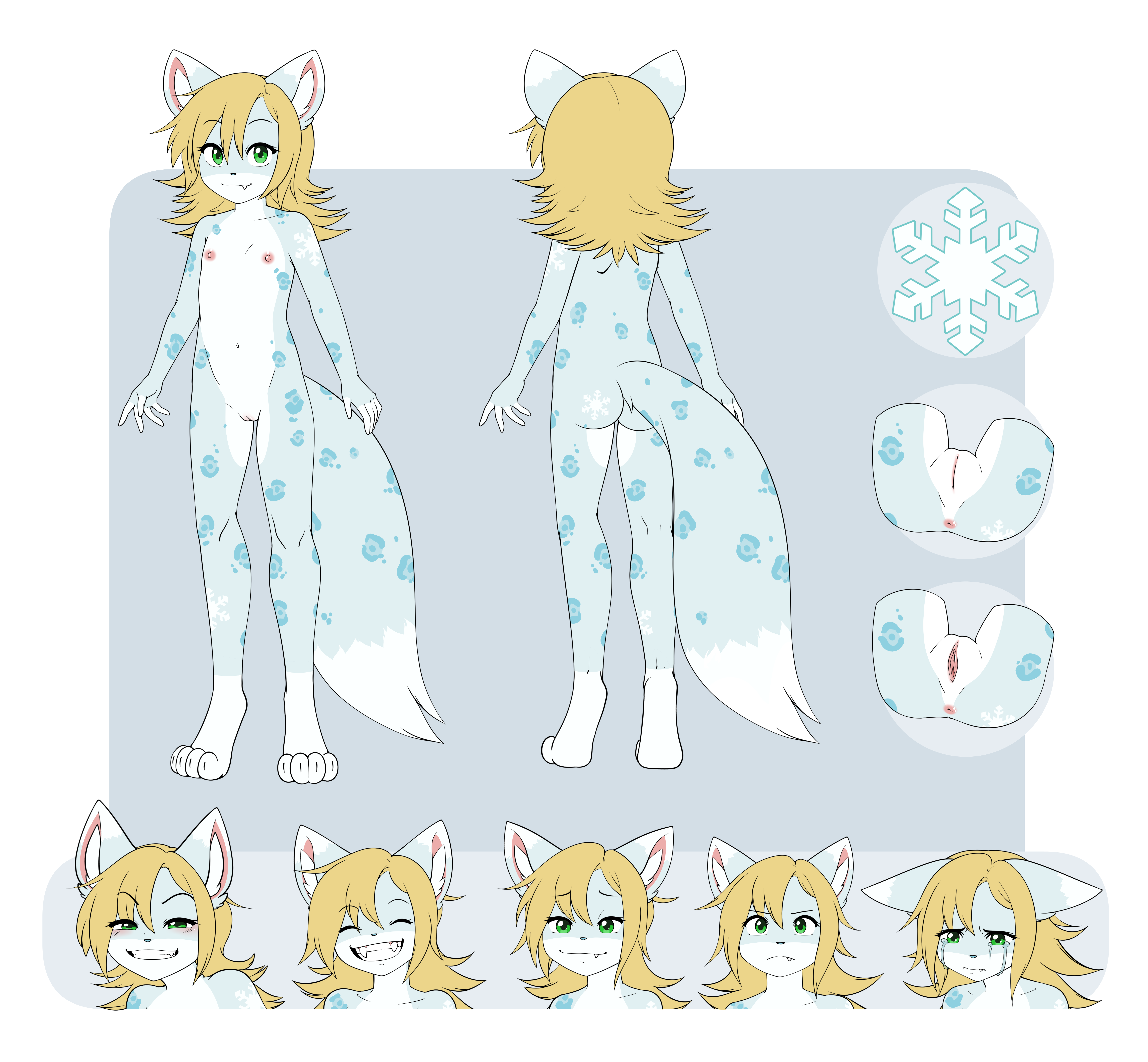 5999512_pucco_3.png