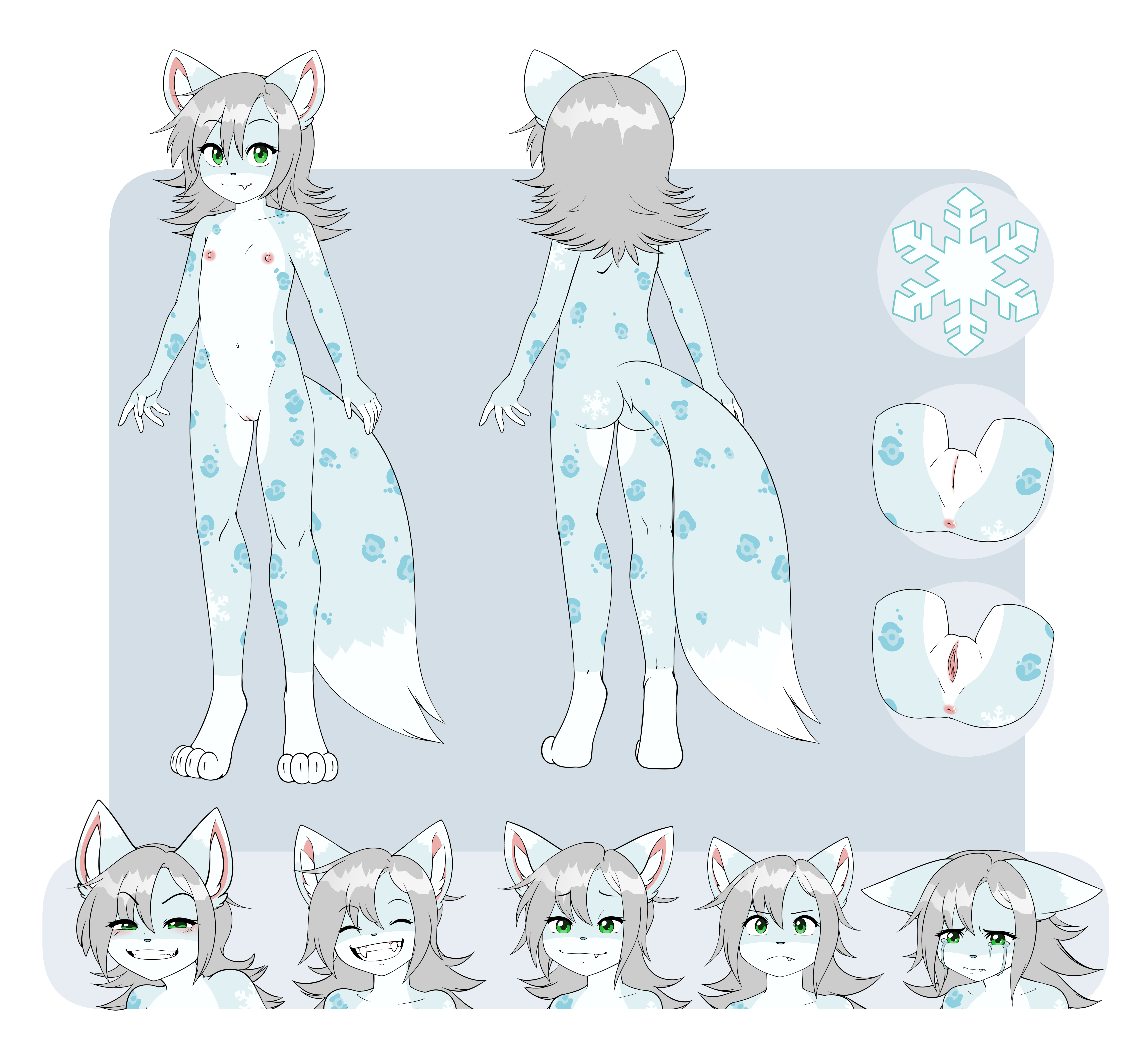 5999516_pucco_4.png