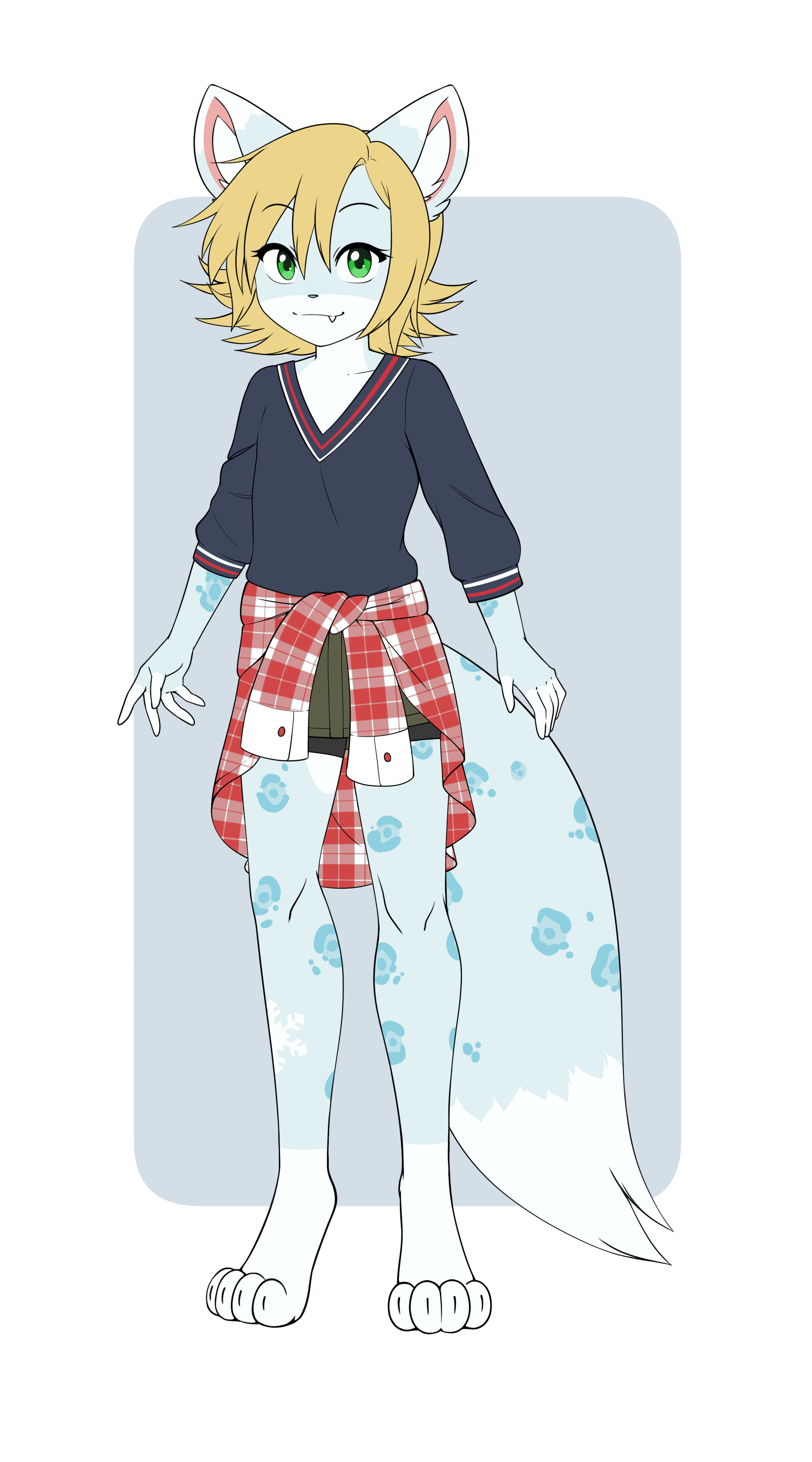 5999575_pucco_b.png