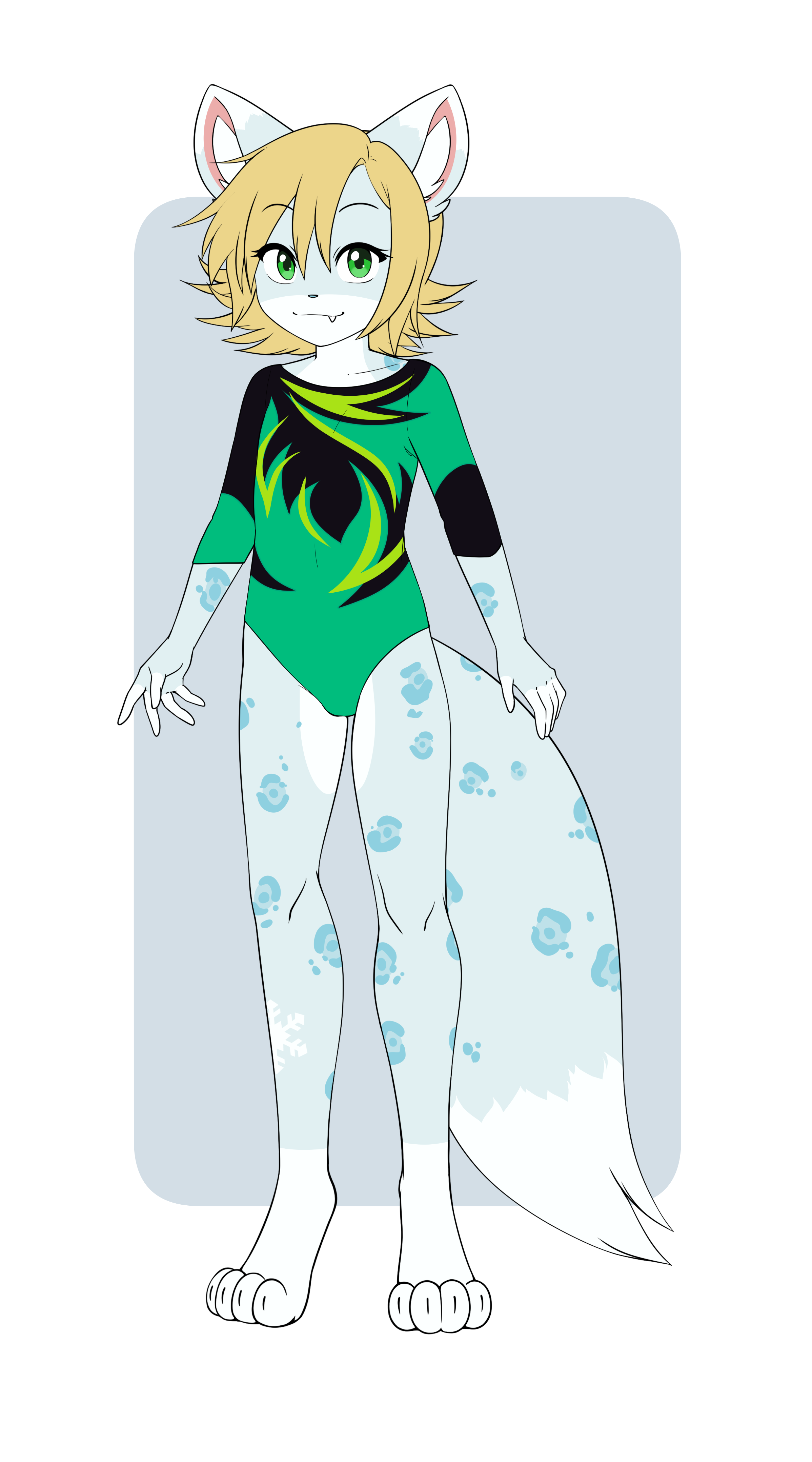 6002005_pucco_d.png
