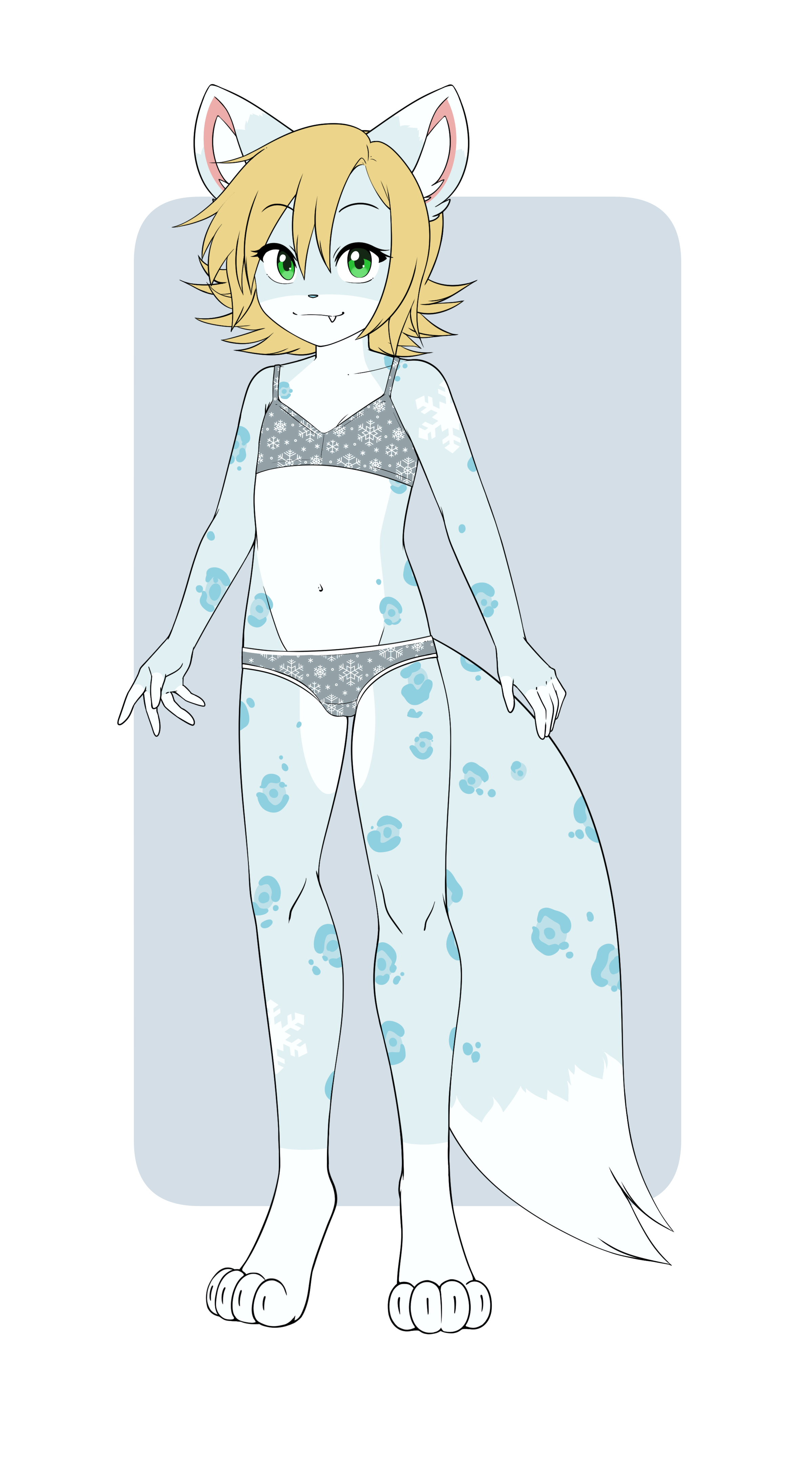 6002009_pucco_g.png