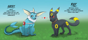 Grey and Ray