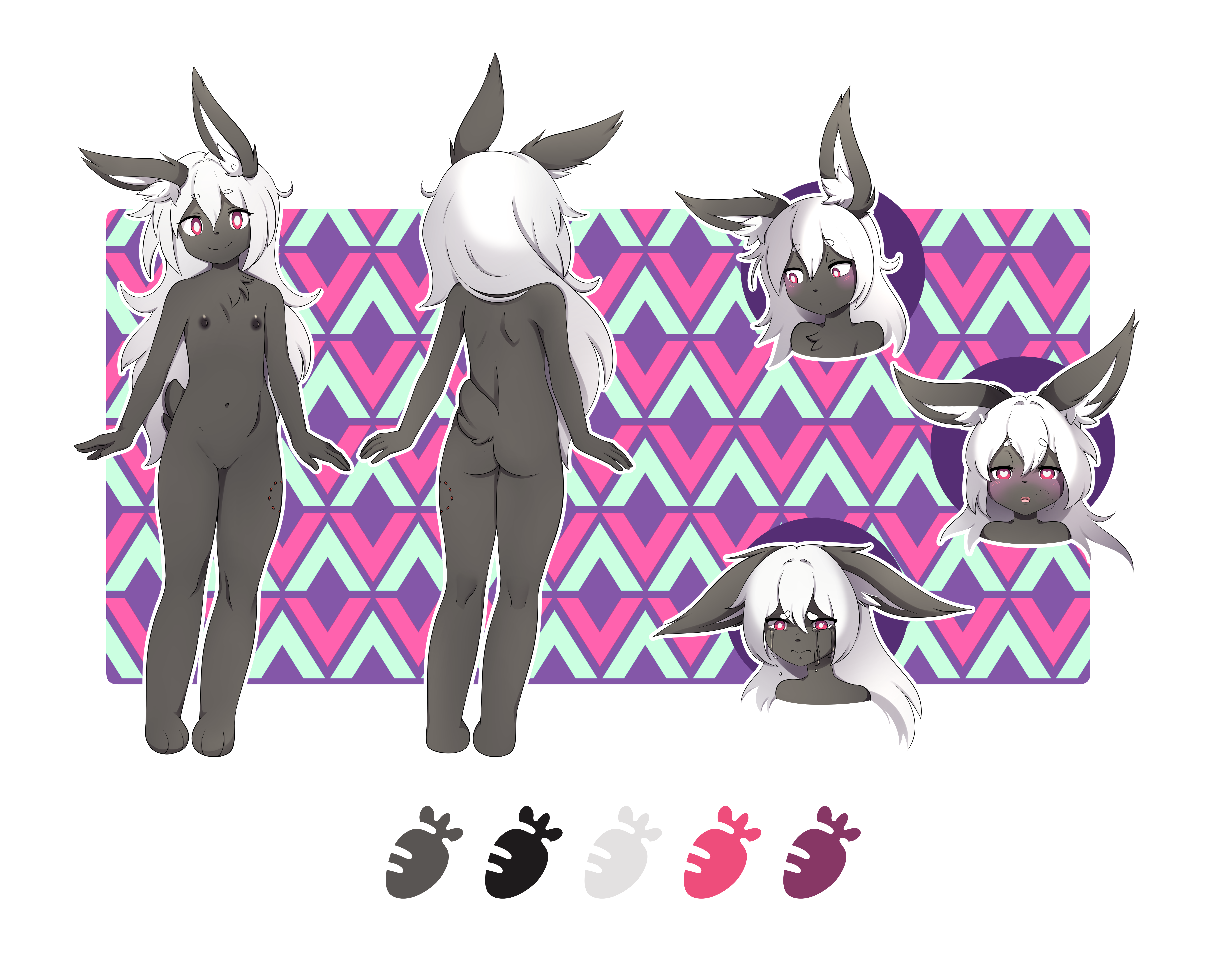 6003355_pucco_b.png
