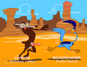 Fun Run