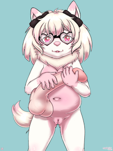 [commission] for Xaxoqual