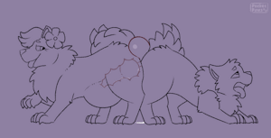 6007835_PocketPaws_6f56bd4c-1a5b-41eb-b24d-f4ac4939420a.gif