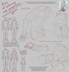 TUTORIAL | Some anatomy and perspective