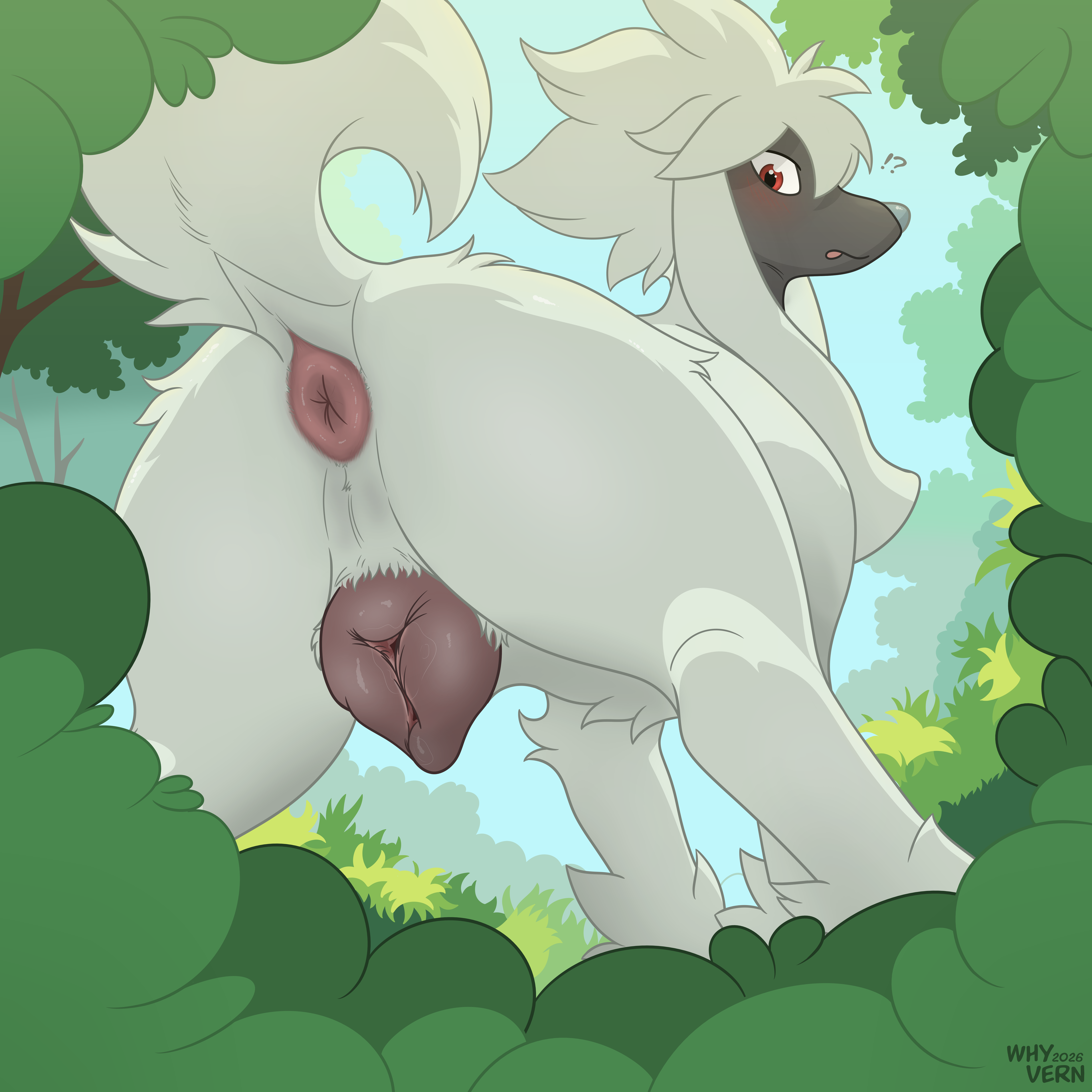 6009698_WhyVern_2.png