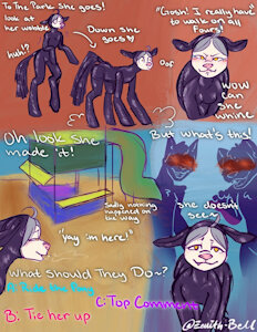 Socks adventure