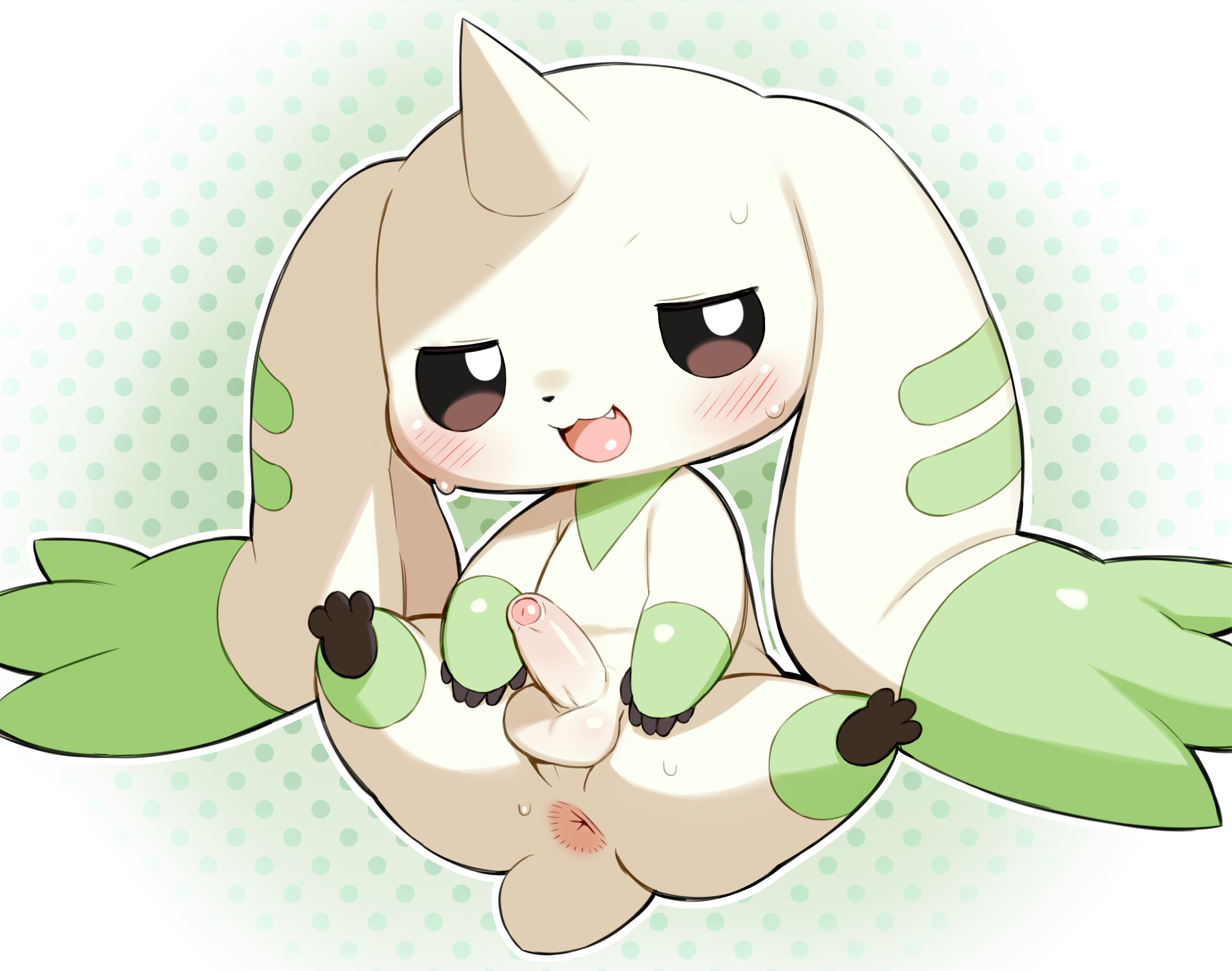 6015645_Exige_terr.png