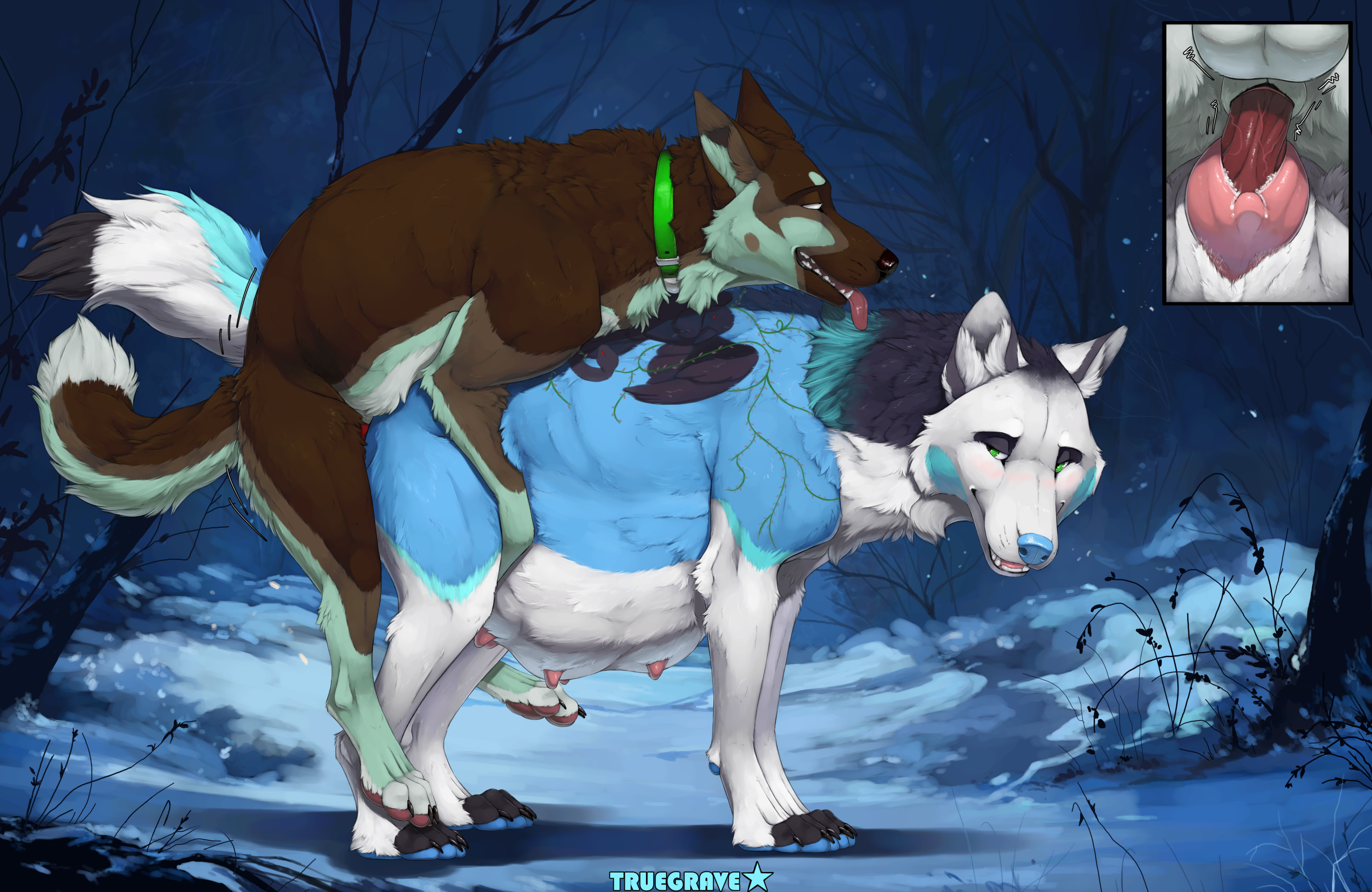 6015809_Truegrave9_sheppermint_ithilwen_mating_final_color_pregnant_small.png