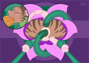 6016075_PocketPaws_9_jan_ariannaaltomare_colour_closeup_nocum.gif